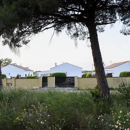 Villas Perez Zara Conil De La Frontera Buitenkant foto