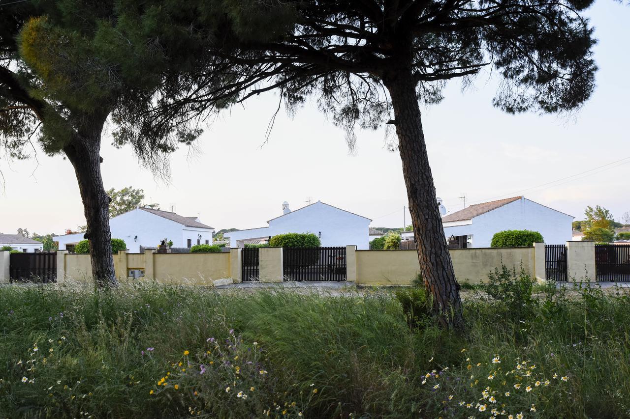 Villas Perez Zara Conil De La Frontera Buitenkant foto